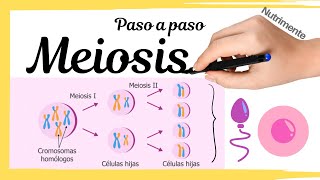 MEIOSIS Paso a Paso [upl. by Atteuqcaj]