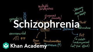 Schizophrenia  Behavior  MCAT  Khan Academy [upl. by Eedyaj]