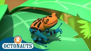 Octonauts  A Very Dangerous Frog  Triple Special  Cartoons for Kids [upl. by Eadrahc]