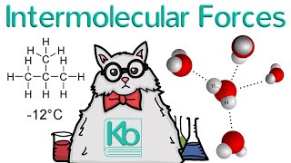 What are Intermolecular Forces [upl. by Nirehtak]