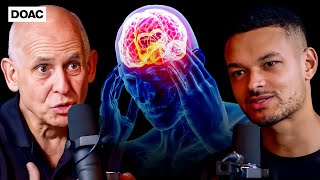 Stop Doing THIS Its Ruining Your Brain Dr Daniel Amen [upl. by Ahsinev]