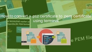 How to convert p12 certificate to pem certificate [upl. by Sancha]