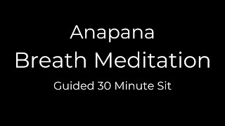 30Minute Guided Breath Meditation Anapana [upl. by Nanreh]