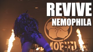 NEMOPHILA  REVIVE Official Live Video [upl. by Esinyl]