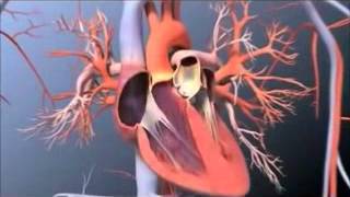 Pulmonary Artery Catheterization [upl. by Aztirak209]