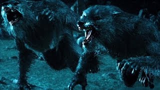 Top 10 Werewolf Movies REDUX [upl. by Namaan163]