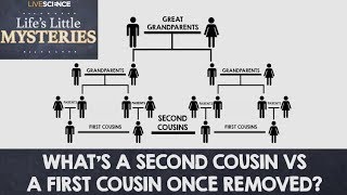 Whats a Second Cousin vs a First Cousin OnceRemoved [upl. by Manara]