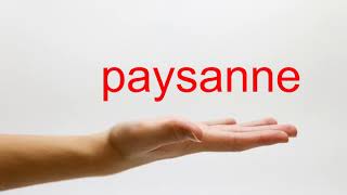 How to Pronounce paysanne  American English [upl. by Aissak596]