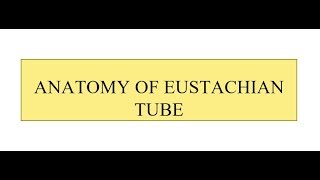 Anatomy of Eustachian Tube [upl. by Ellehcir]