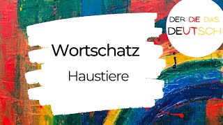 Haustiere  Deutsch lernen  Wortschatz [upl. by Bidget]