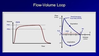 Pulmonary Function Tests PFT Lesson 2  Spirometry [upl. by Otrebron228]