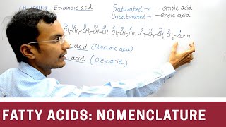 Nomenclature of Fatty acid [upl. by Asilim]