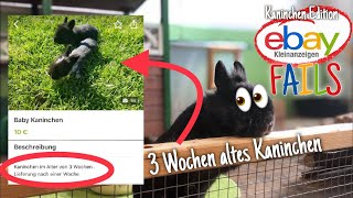 ebay Kleinanzeigen Fails  Kaninchen Edition [upl. by Hamer]