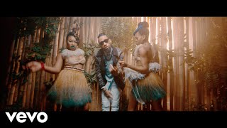 Phyno  Nnunu Official Video ft Stormrex [upl. by Yemiaj322]