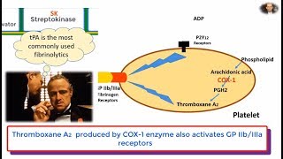 Thrombosis Review Antiplatelet Anticoagulants and Thrombolytics [upl. by Ocin225]