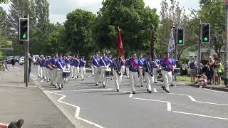 Ballynahinch Protestant Boys  Upper Falls Protestant Boys 2024 [upl. by Ttezil]