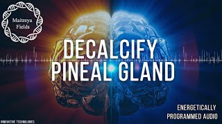 Decalcify Pineal Gland  Energetically Programmed Audio  Maitreya Reiki™ [upl. by Zorana]