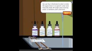 Gram Staining [upl. by Eivod592]