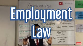 Employment Law [upl. by Cordalia]