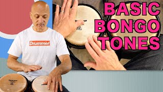 Basic Bongo Tones  How to Play Bongos Tutorial [upl. by Nakasuji]