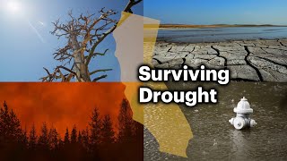 How Californias Droughts Lead to Other Disasters [upl. by Eimerej]