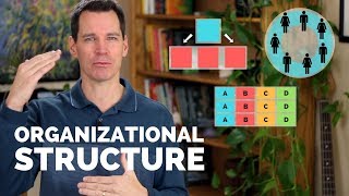 Organizational Structure [upl. by Grimaud]