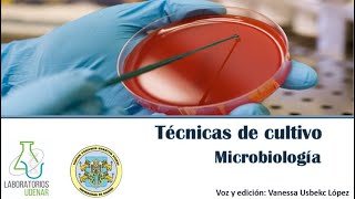 Técnicas de siembra Microbiología [upl. by Rennug]