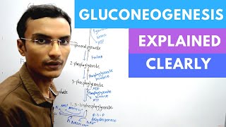 Gluconeogenesis Biochemistry [upl. by Jasmin545]