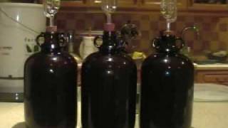 How to Make Wine from Grapes at Home [upl. by Ydnem]