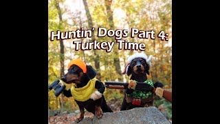 Crusoe amp Oakley the Huntin Dogs Turkey Time [upl. by Eikceb767]