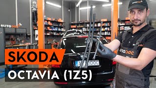 Wie OCTAVIA 1Z5 Scheibenwischer wechseln AUTODOC TUTORIAL [upl. by Llenrup35]