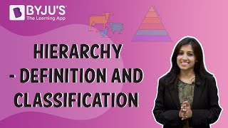 Hierarchy  Definition And Classification [upl. by Lorenzo]