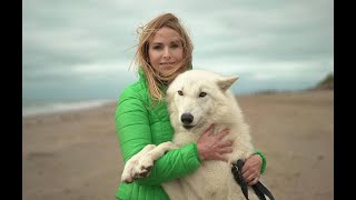 Walking with WOLVES  Rescued Wolfdogs [upl. by Argela]